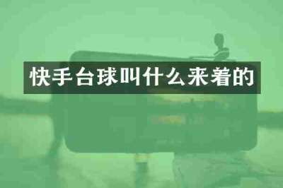 快手台球叫什么来着的