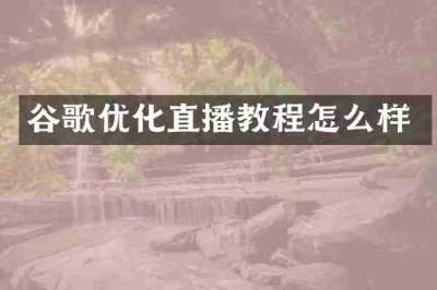 谷歌优化直播教程怎么样