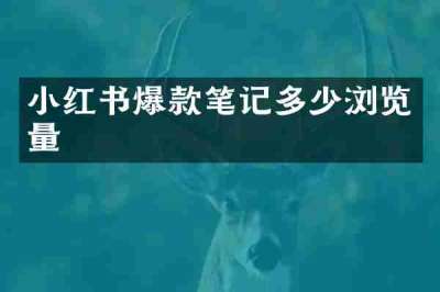 小红书爆款笔记多少浏览量