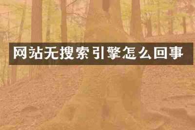 网站无搜索引擎怎么回事