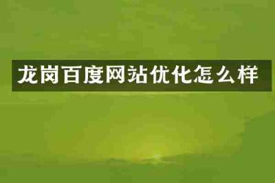 龙岗百度网站优化怎么样