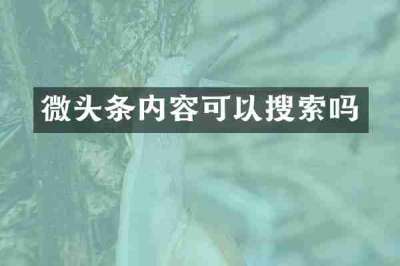 微头条内容可以搜索吗