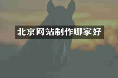 北京网站制作哪家好
