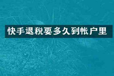 快手退税要多久到帐户里