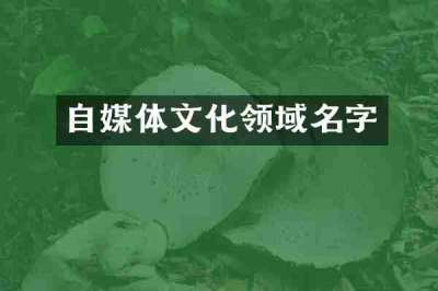 自媒体文化领域名字