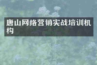 唐山网络营销实战培训机构