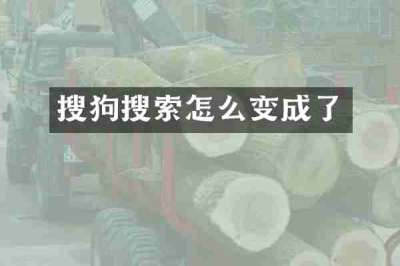搜狗搜索怎么变成了