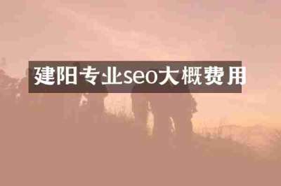 建阳专业seo大概费用