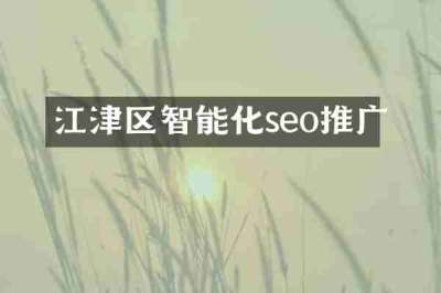 江津区智能化seo推广