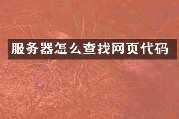 服务器怎么查找网页代码