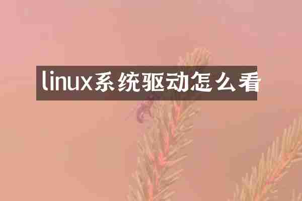 linux系统驱动怎么看