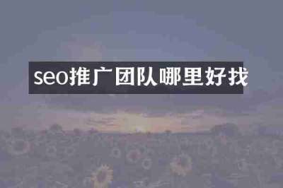 seo推广团队哪里好找