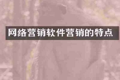 网络营销软件营销的特点