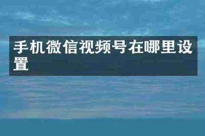 手机微信视频号在哪里设置