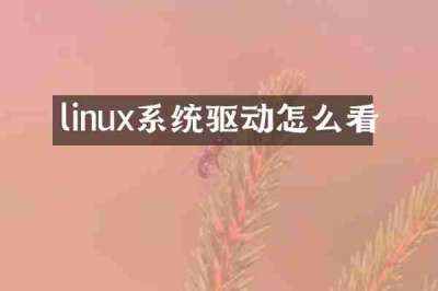 linux系统驱动怎么看