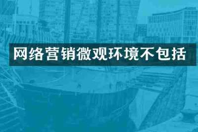 网络营销微观环境不包括