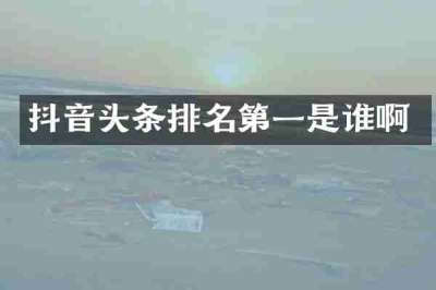 抖音头条排名第一是谁啊