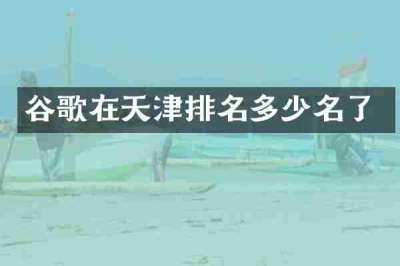 谷歌在天津排名多少名了