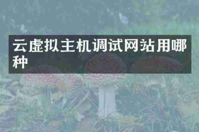云虚拟主机调试网站用哪种