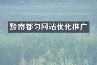 黔南都匀网站优化推广