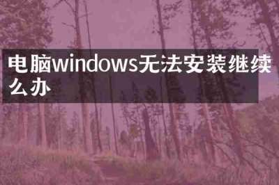 电脑windows无法安装继续怎么办