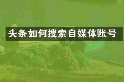 头条如何搜索自媒体账号