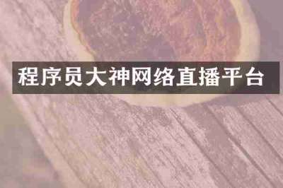 程序员大神网络直播平台