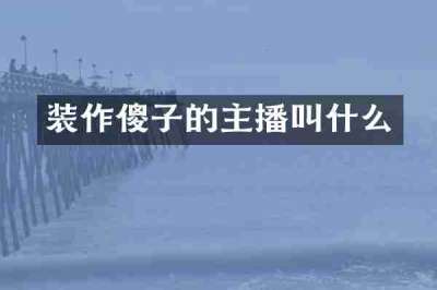 装作傻子的主播叫什么