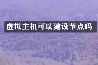 虚拟主机可以建设节点吗