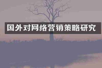 国外对网络营销策略研究