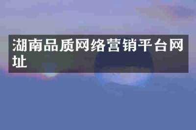 湖南品质网络营销平台网址