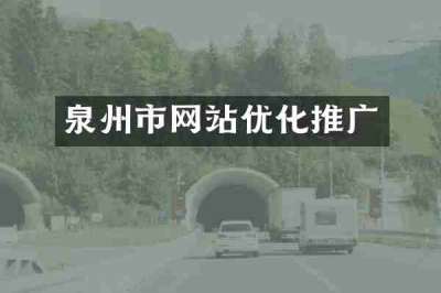 泉州市网站优化推广