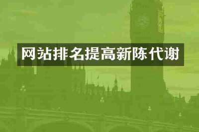 网站排名提高新陈代谢