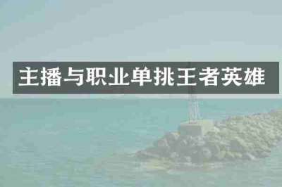 主播与职业单挑王者英雄
