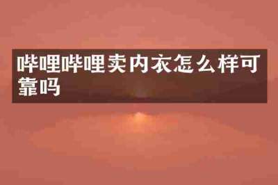 哔哩哔哩卖内衣怎么样可靠吗