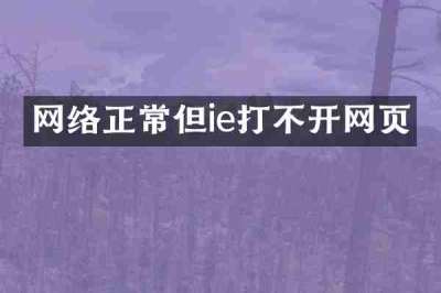 网络正常但ie打不开网页