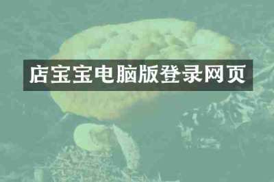 店宝宝电脑版登录网页