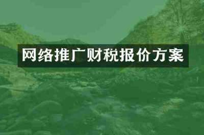 网络推广财税报价方案
