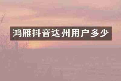 鸿雁抖音达州用户多少