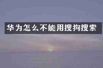 华为怎么不能用搜狗搜索