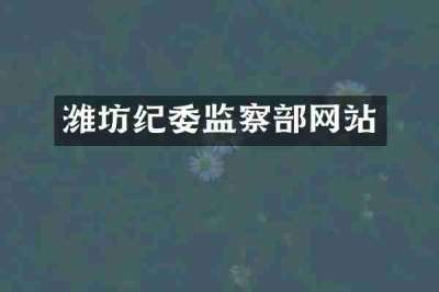 潍坊纪委监察部网站