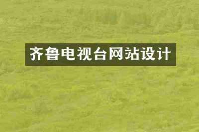 齐鲁电视台网站设计