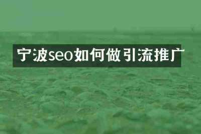 宁波seo如何做引流推广