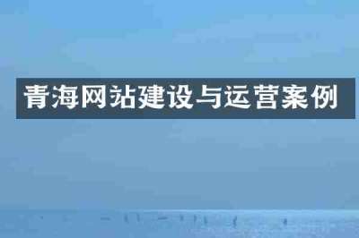 青海网站建设与运营案例