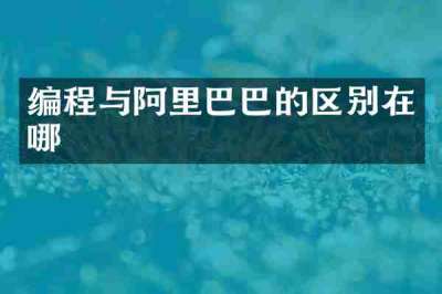 编程与阿里巴巴的区别在哪