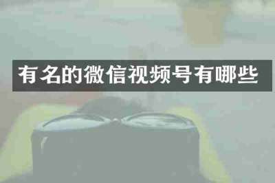 有名的微信视频号有哪些