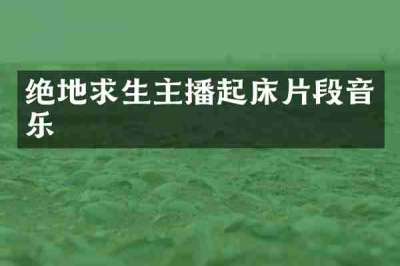 绝地求生主播起床片段音乐