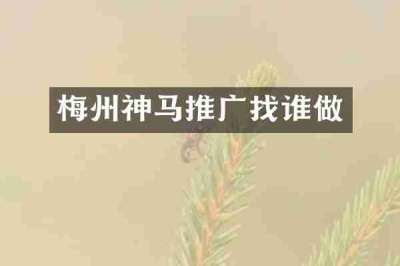 梅州神马推广找谁做