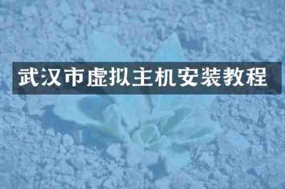 武汉市虚拟主机安装教程