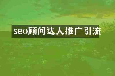 seo顾问达人推广引流